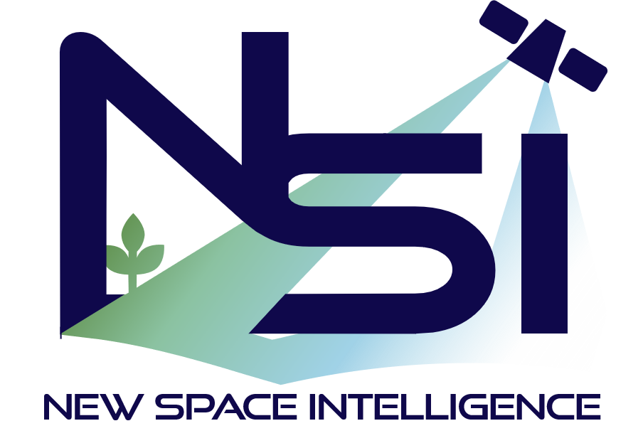 株式会社New Space Intelligence